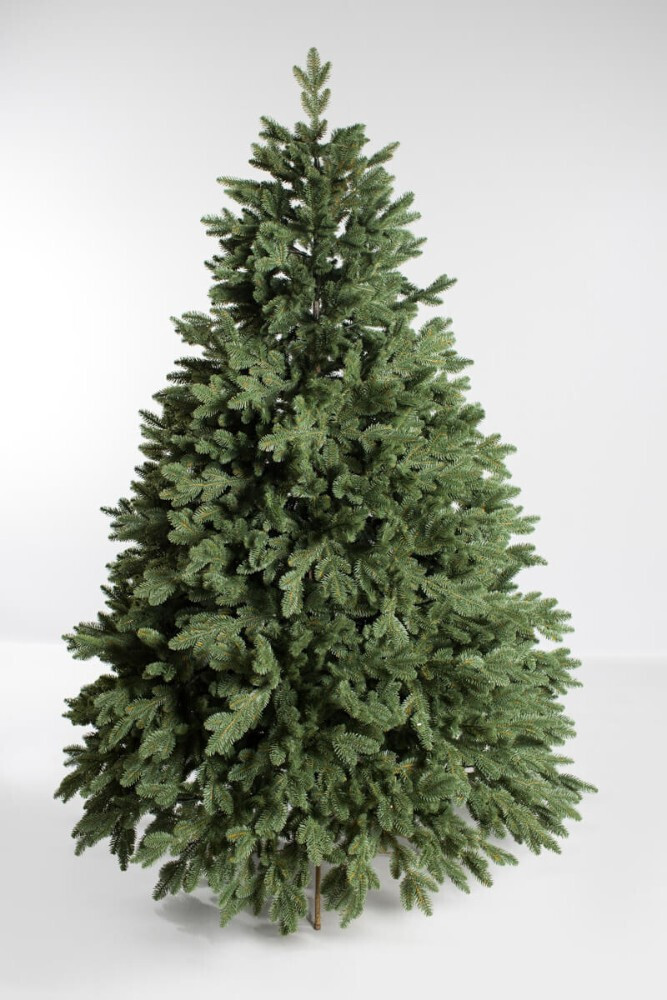 Green Trees Монтерей Люкс 180 см